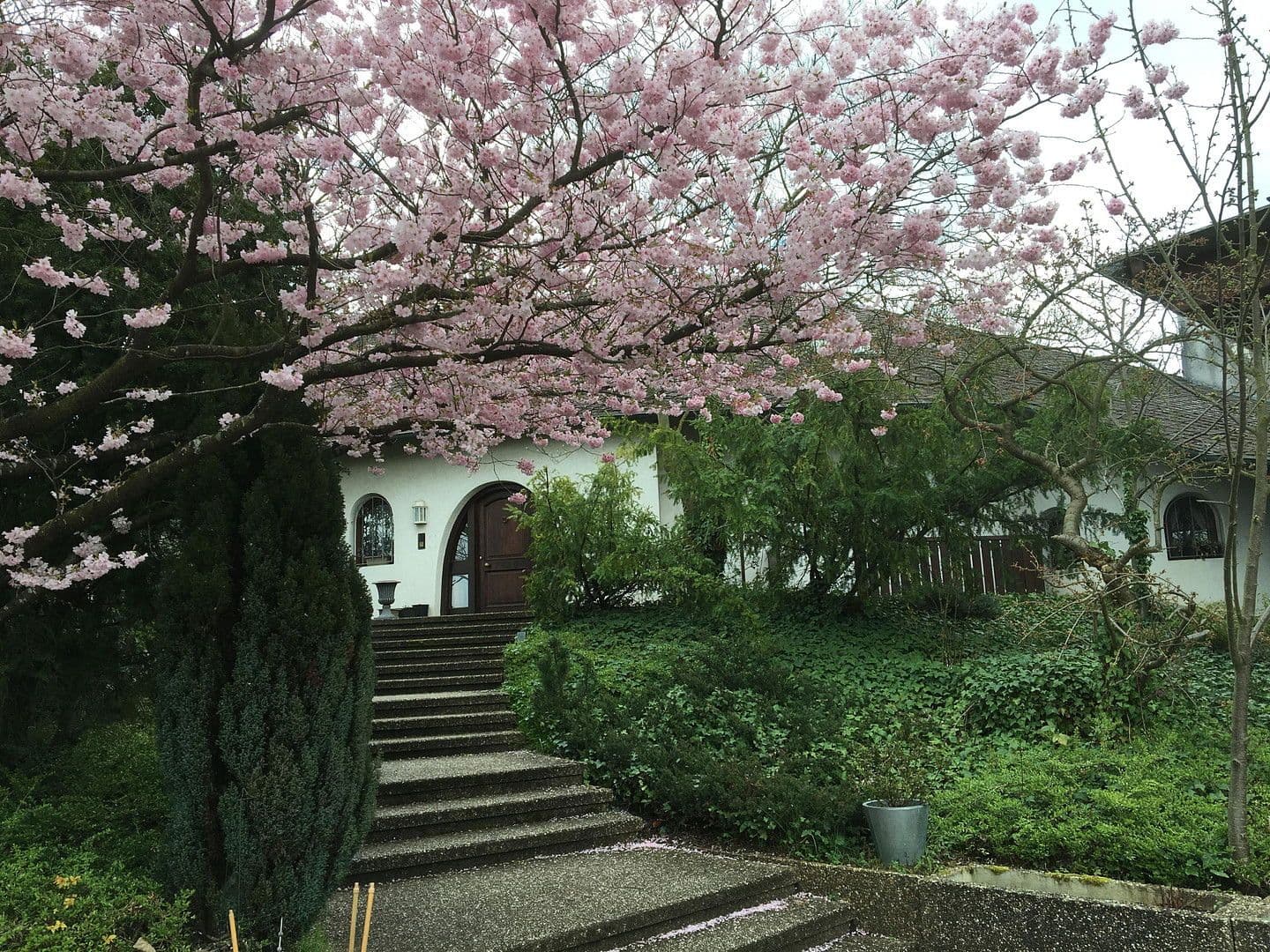 non-residential property for sale, 3,682 m², Hagenbach, Rhineland-Palatinate non-residential property for sale, 3,682 m², Hagenbach, Rhineland-Palatinate