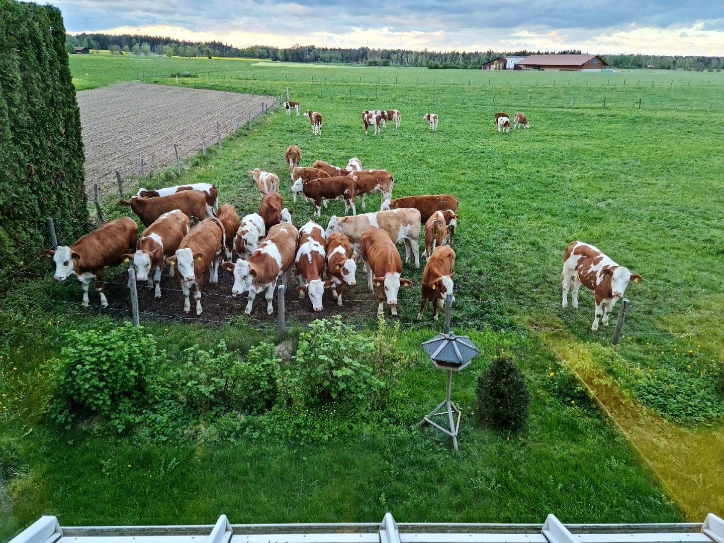 house for sale, 258 m², Halfing, Bavaria house for sale, 258 m², Halfing, Bavaria