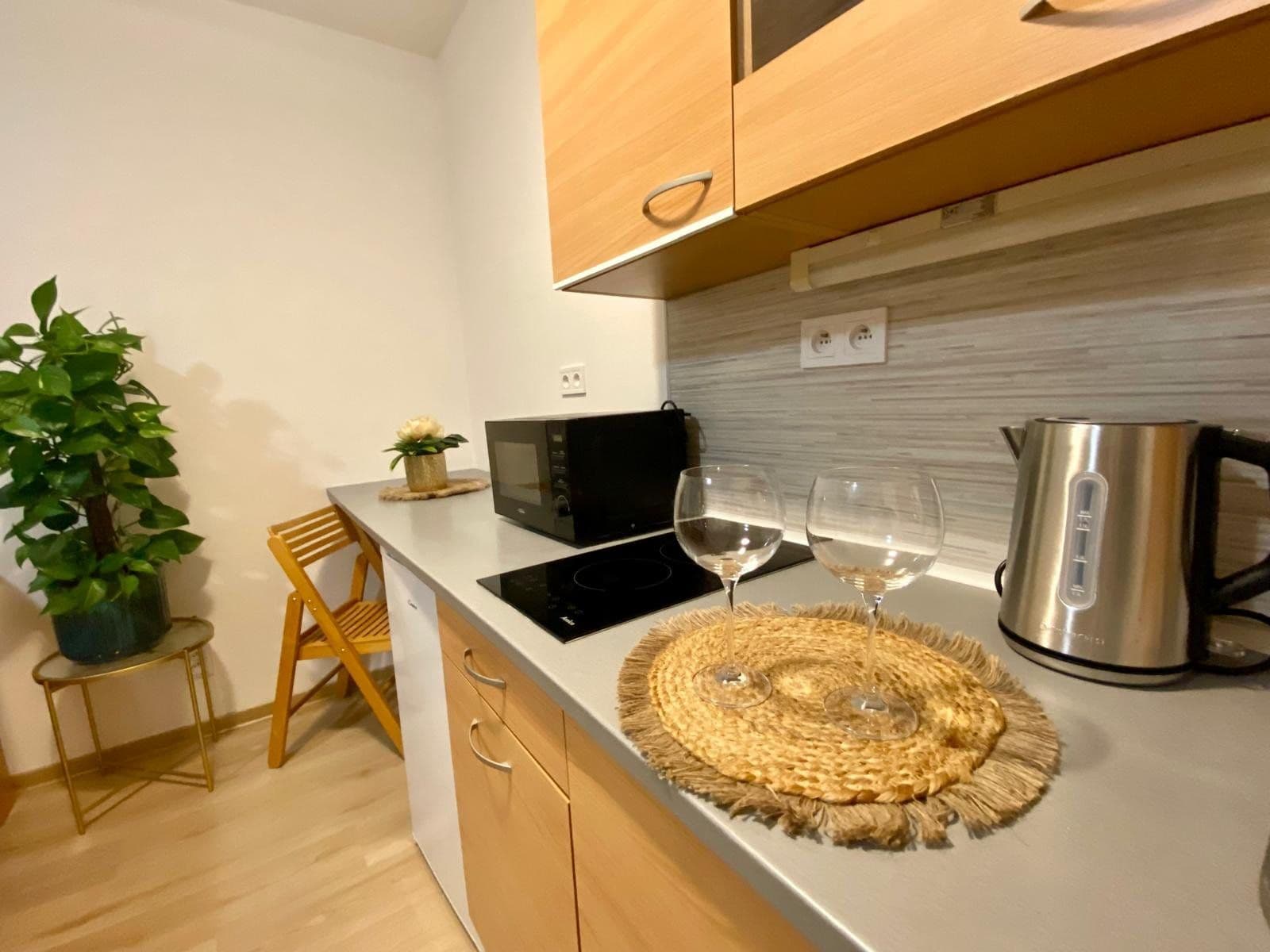 flat to rent, 30 m², Janského, Olomouc, Olomoucký Region flat to rent, 30 m², Janského, Olomouc, Olomoucký Region