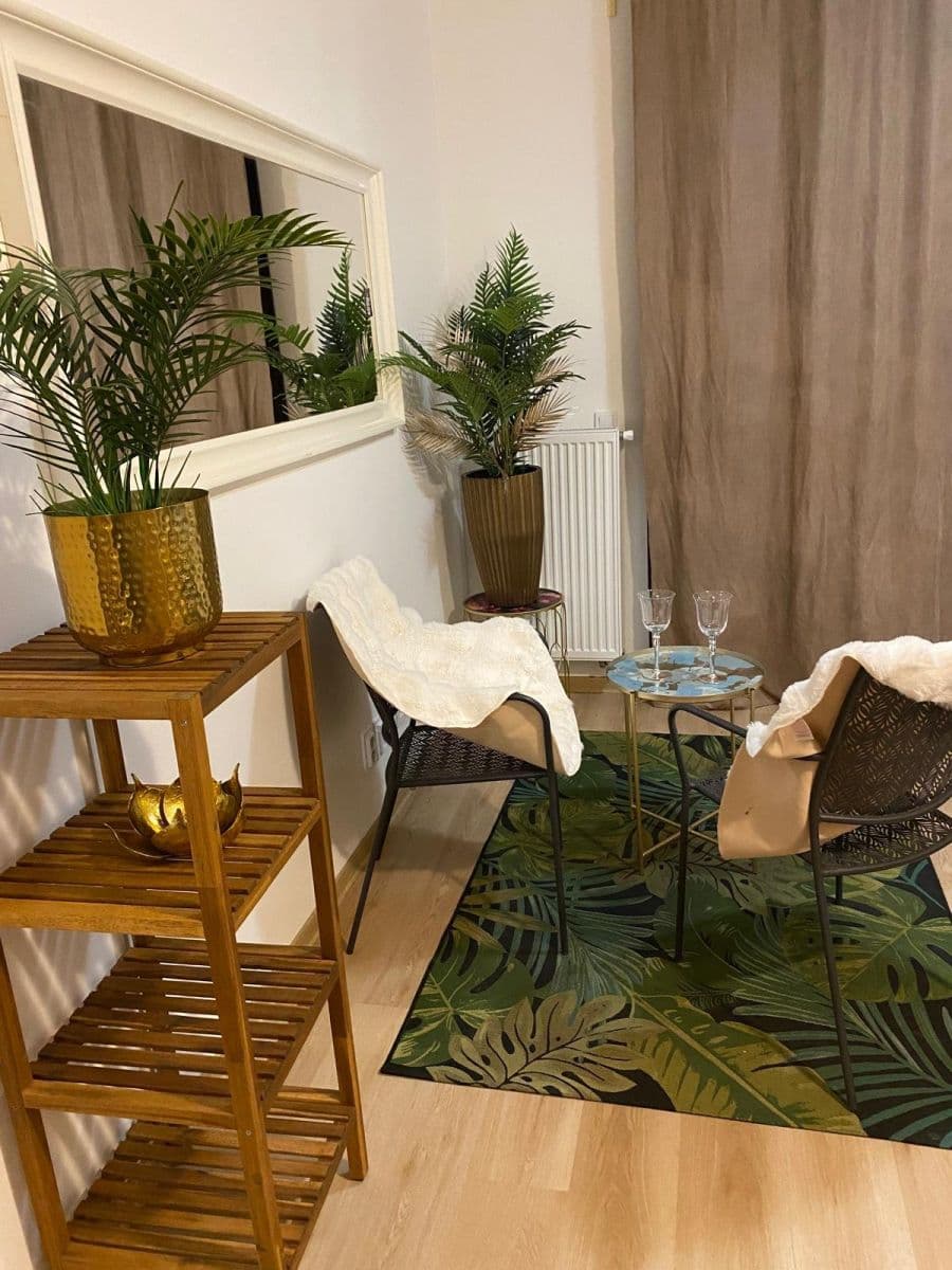 flat to rent, 30 m², Janského, Olomouc, Olomoucký Region flat to rent, 30 m², Janského, Olomouc, Olomoucký Region