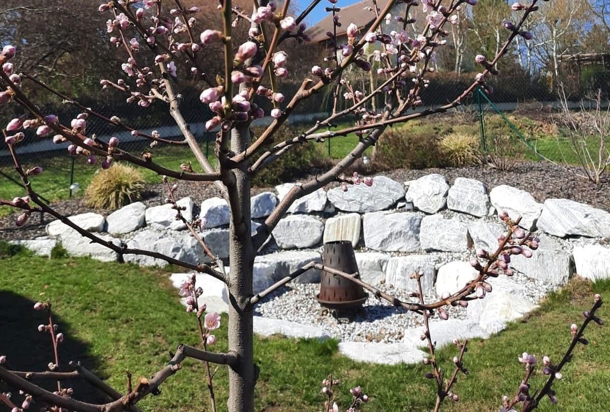 house to rent, 216 m², Mittelberg 69, Mittelberg, Lower Austria house to rent, 216 m², Mittelberg 69, Mittelberg, Lower Austria