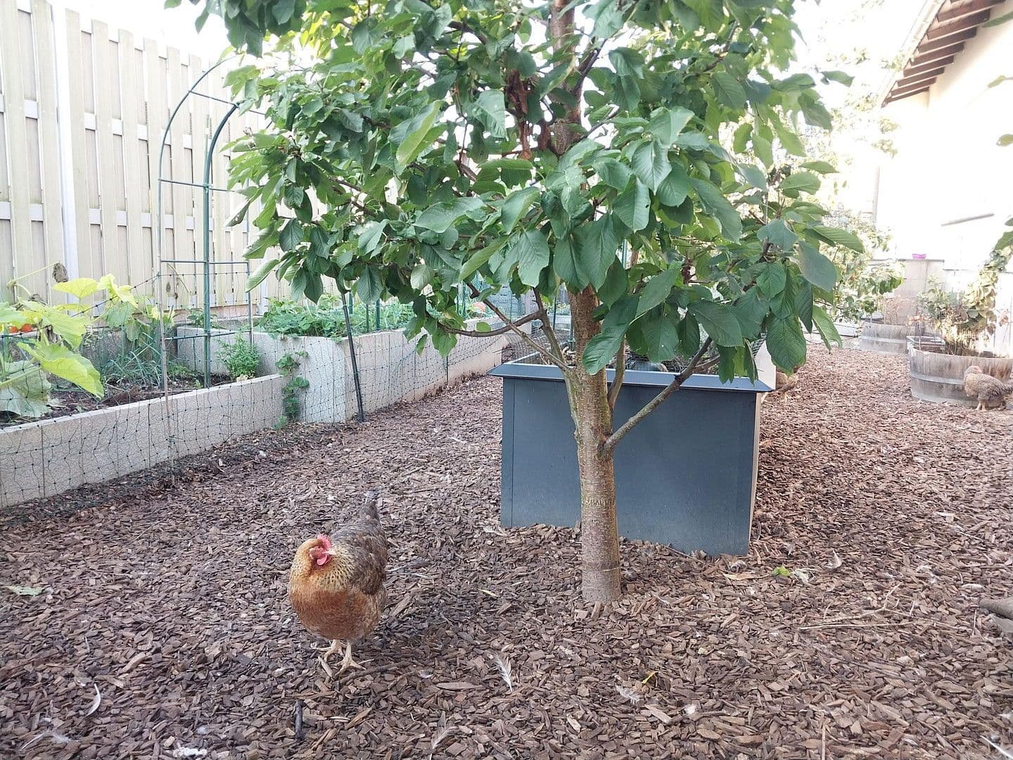 house for sale, 120 m², Hettenleidelheim, Rhineland-Palatinate house for sale, 120 m², Hettenleidelheim, Rhineland-Palatinate