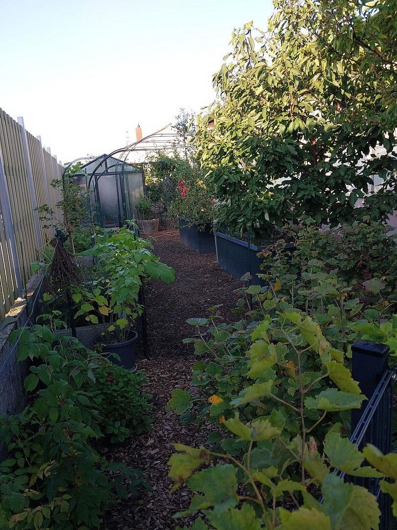 house for sale, 120 m², Hettenleidelheim, Rhineland-Palatinate house for sale, 120 m², Hettenleidelheim, Rhineland-Palatinate