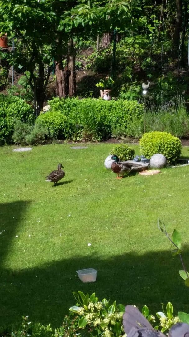 house to rent, 200 m², Zirndorf, Bavaria house to rent, 200 m², Zirndorf, Bavaria