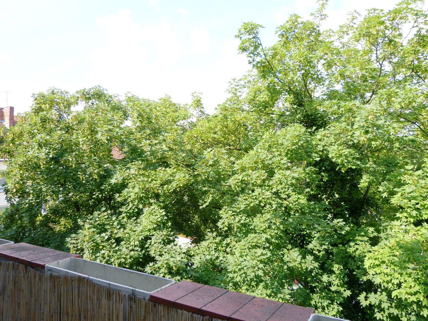 5 bedroom flat to rent, 125 m², Hanover, Lower Saxony 5 bedroom flat to rent, 125 m², Hanover, Lower Saxony