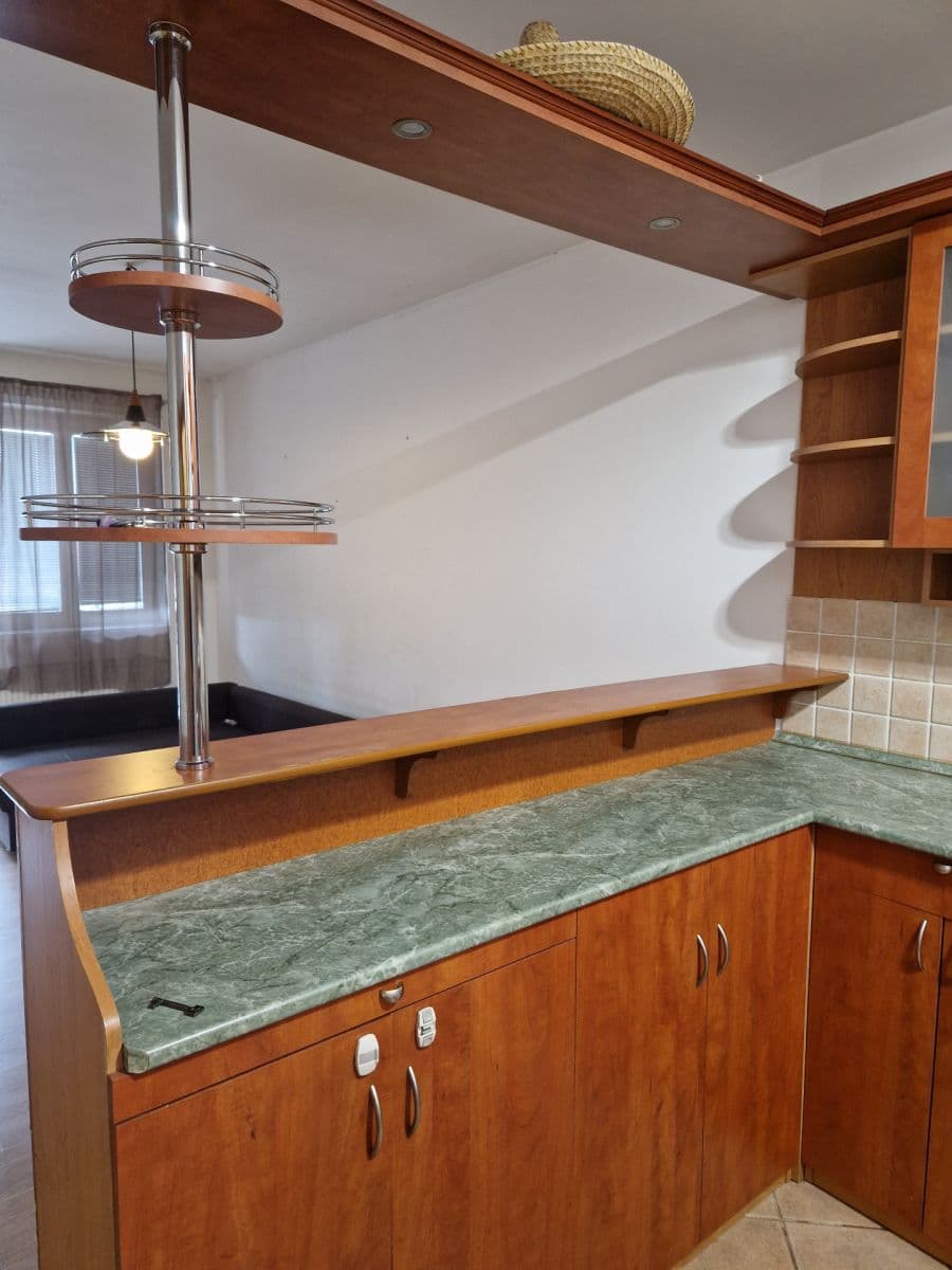 1 bedroom with open-plan kitchen flat to rent, 56 m², Pelušková, Prague, Prague 1 bedroom with open-plan kitchen flat to rent, 56 m², Pelušková, Prague, Prague