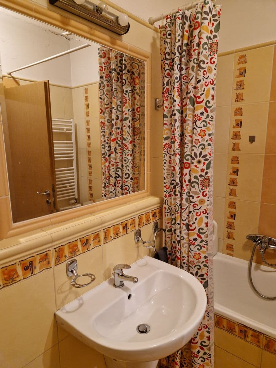 1 bedroom with open-plan kitchen flat to rent, 56 m², Pelušková, Prague, Prague 1 bedroom with open-plan kitchen flat to rent, 56 m², Pelušková, Prague, Prague