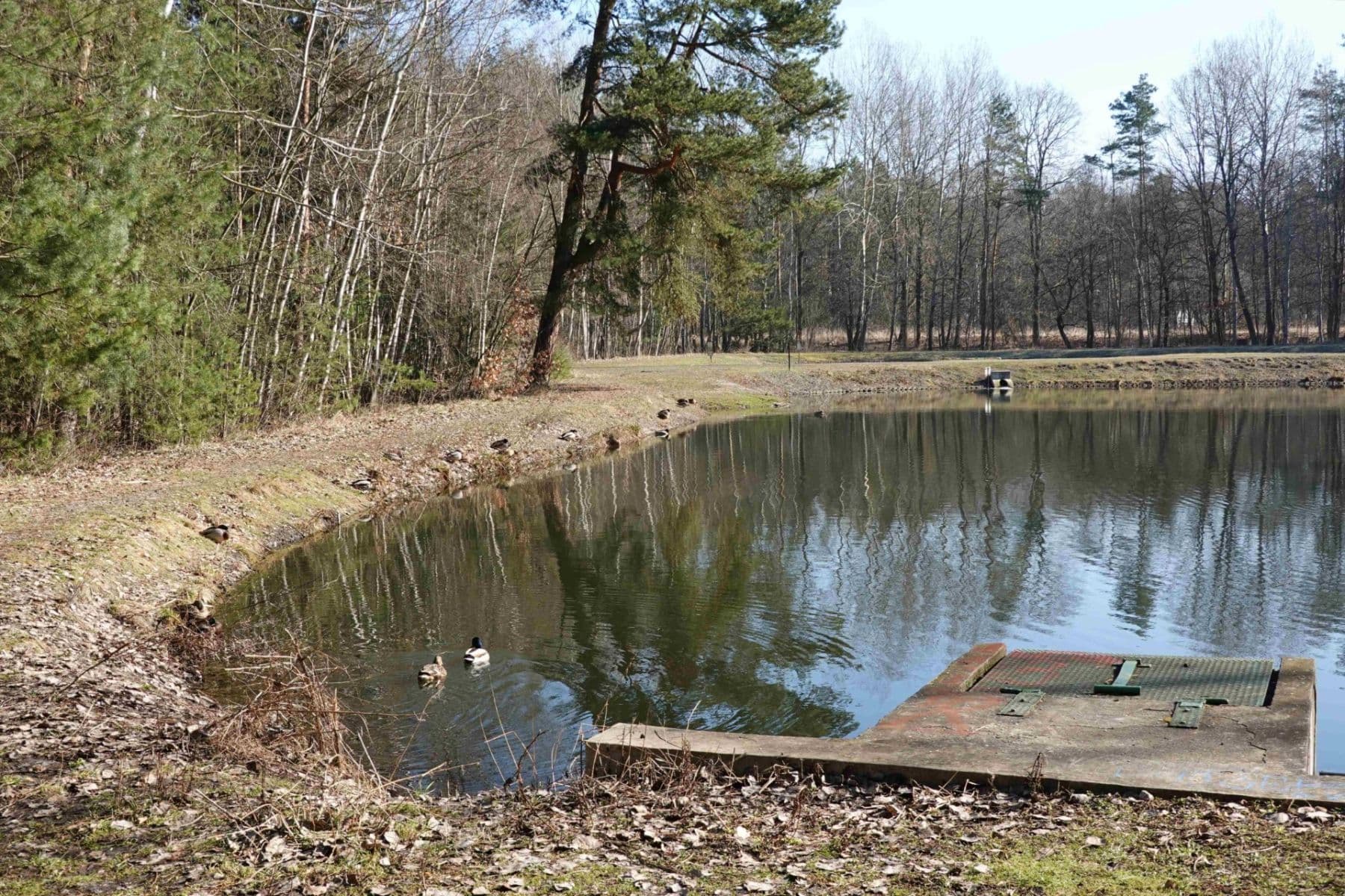 house to rent, 125 m², Čenovická, Prague, Prague house to rent, 125 m², Čenovická, Prague, Prague