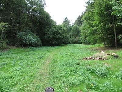 plot for sale, 8,326 m², Wiesengrund, Waldesch, Rhineland-Palatinate plot for sale, 8,326 m², Wiesengrund, Waldesch, Rhineland-Palatinate