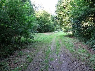 plot for sale, 8,326 m², Wiesengrund, Waldesch, Rhineland-Palatinate plot for sale, 8,326 m², Wiesengrund, Waldesch, Rhineland-Palatinate