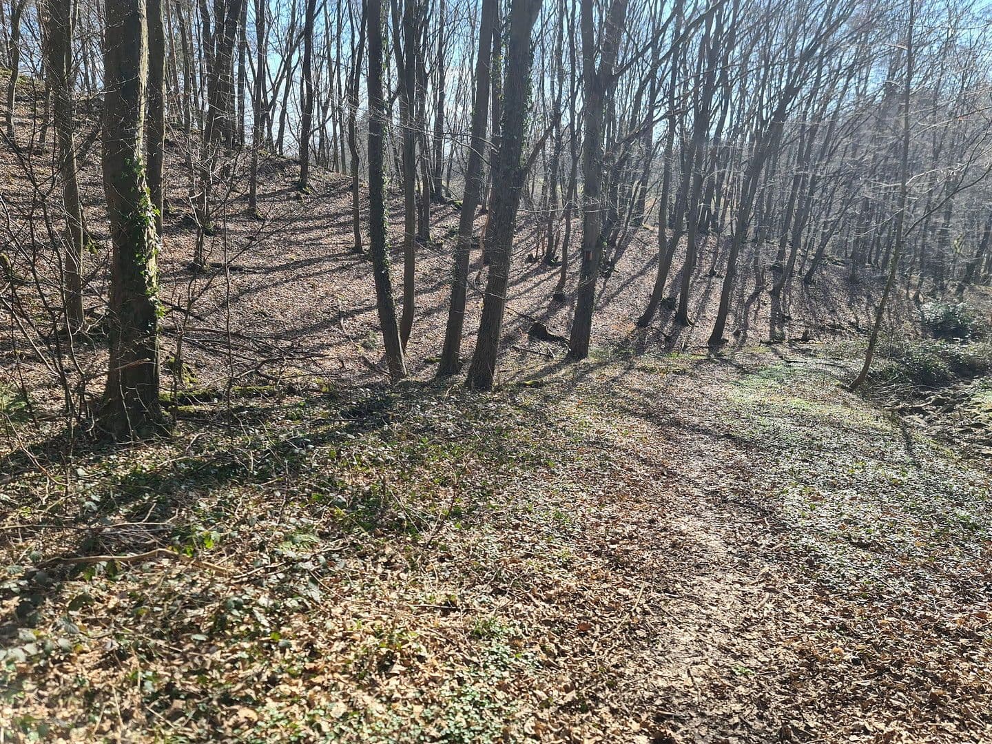 plot for sale, 8,326 m², Wiesengrund, Waldesch, Rhineland-Palatinate plot for sale, 8,326 m², Wiesengrund, Waldesch, Rhineland-Palatinate