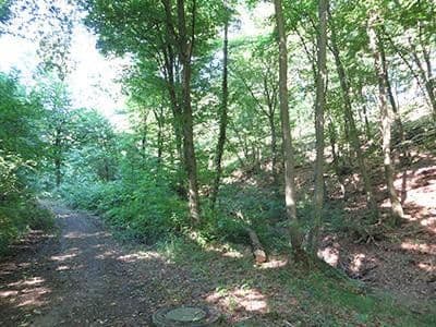 plot for sale, 8,326 m², Wiesengrund, Waldesch, Rhineland-Palatinate plot for sale, 8,326 m², Wiesengrund, Waldesch, Rhineland-Palatinate