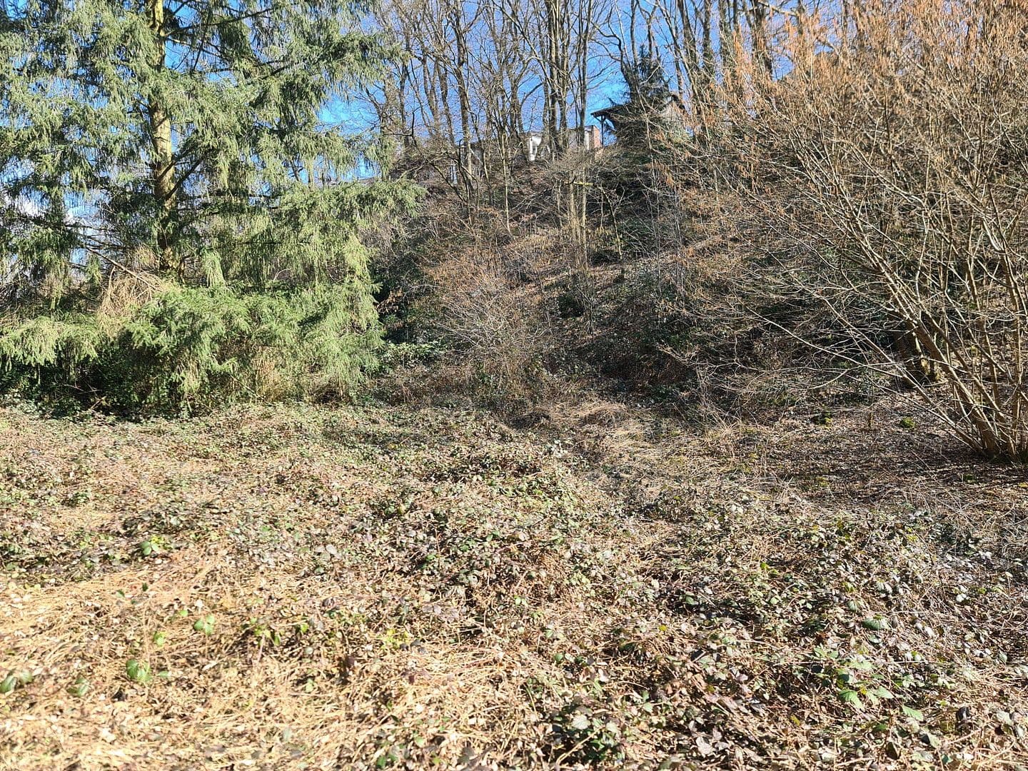 plot for sale, 8,326 m², Wiesengrund, Waldesch, Rhineland-Palatinate plot for sale, 8,326 m², Wiesengrund, Waldesch, Rhineland-Palatinate