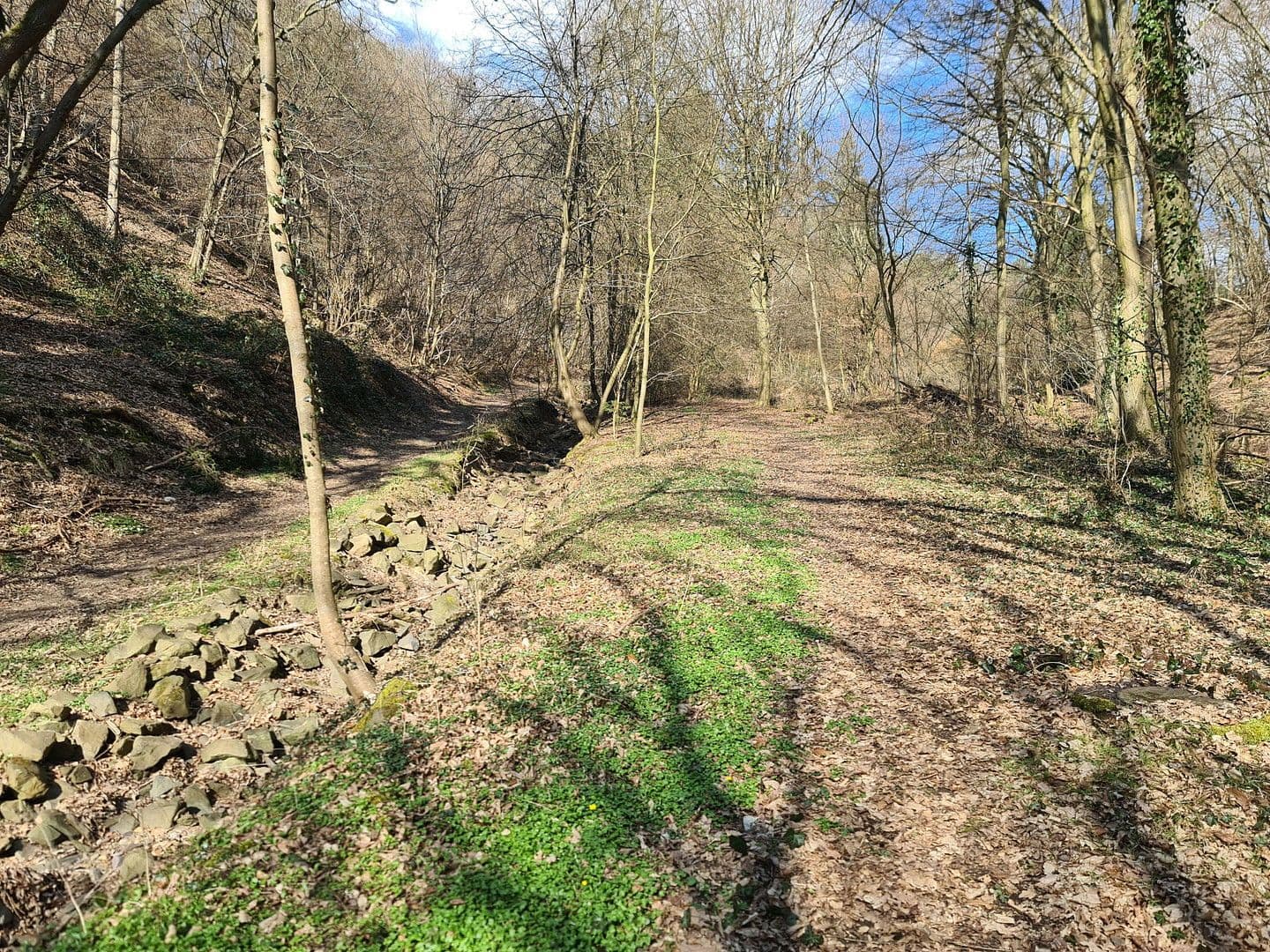 plot for sale, 8,326 m², Wiesengrund, Waldesch, Rhineland-Palatinate plot for sale, 8,326 m², Wiesengrund, Waldesch, Rhineland-Palatinate