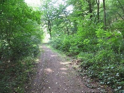 plot for sale, 8,326 m², Wiesengrund, Waldesch, Rhineland-Palatinate plot for sale, 8,326 m², Wiesengrund, Waldesch, Rhineland-Palatinate