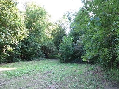 plot for sale, 8,326 m², Wiesengrund, Waldesch, Rhineland-Palatinate plot for sale, 8,326 m², Wiesengrund, Waldesch, Rhineland-Palatinate