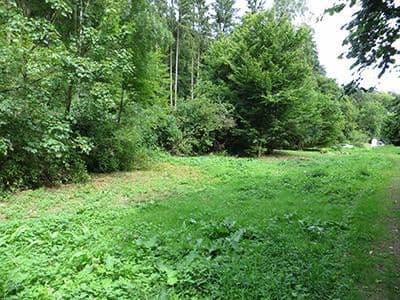 plot for sale, 8,326 m², Wiesengrund, Waldesch, Rhineland-Palatinate plot for sale, 8,326 m², Wiesengrund, Waldesch, Rhineland-Palatinate