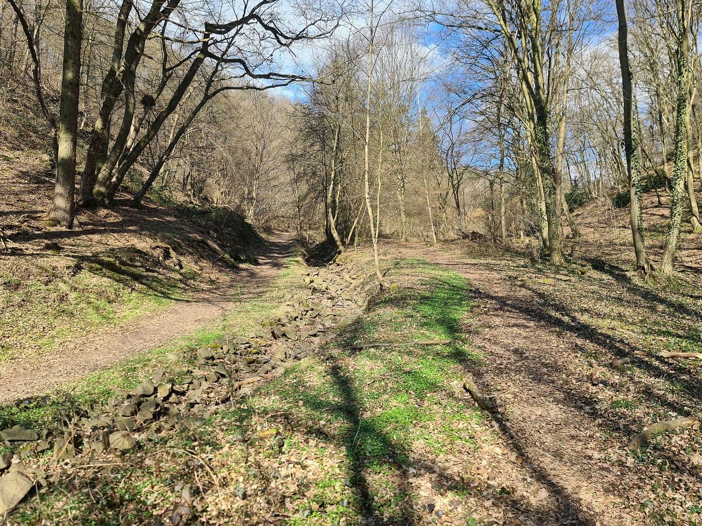 plot for sale, 8,326 m², Wiesengrund, Waldesch, Rhineland-Palatinate plot for sale, 8,326 m², Wiesengrund, Waldesch, Rhineland-Palatinate