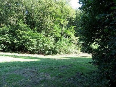 plot for sale, 8,326 m², Wiesengrund, Waldesch, Rhineland-Palatinate plot for sale, 8,326 m², Wiesengrund, Waldesch, Rhineland-Palatinate