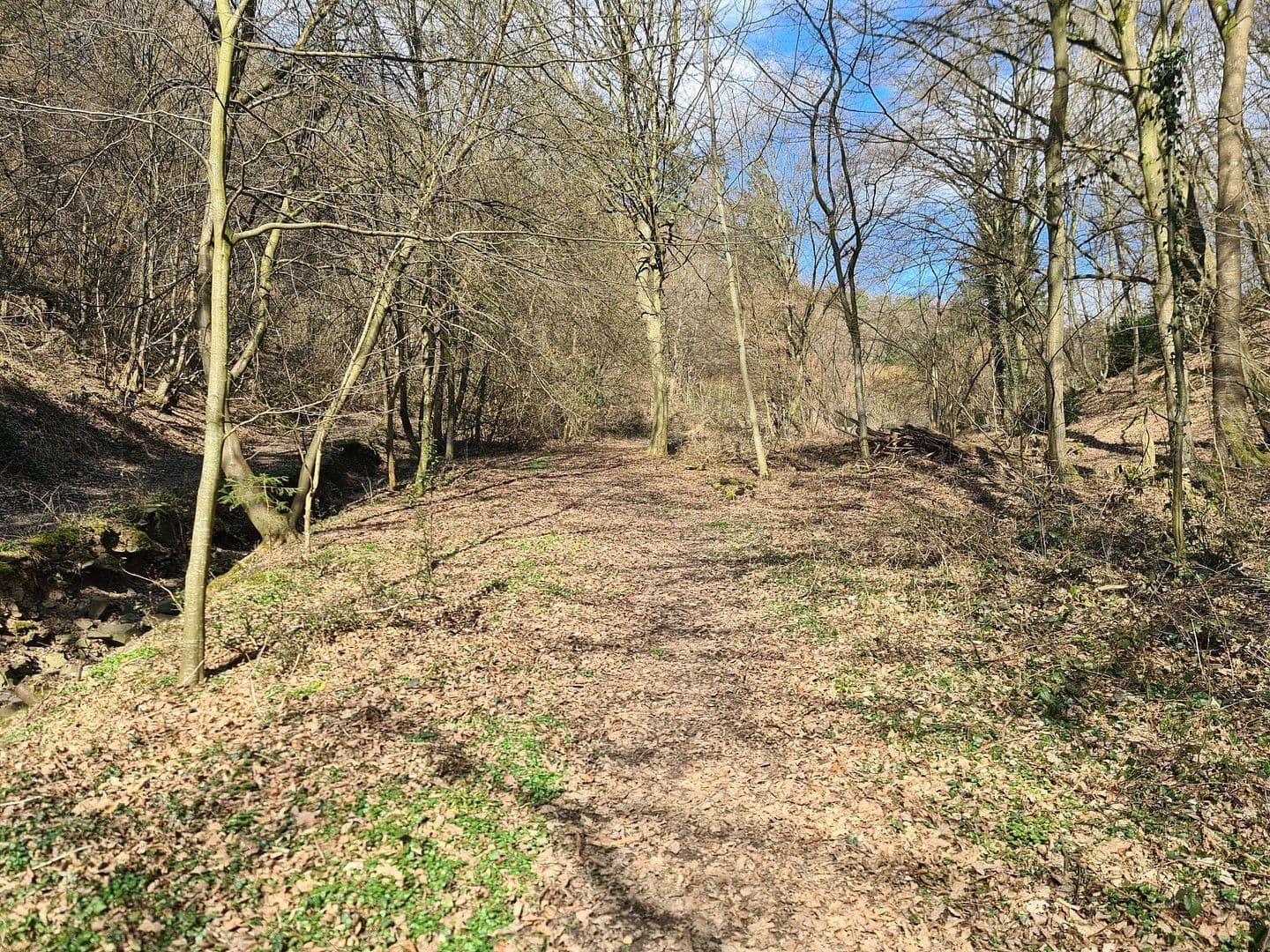 plot for sale, 8,326 m², Wiesengrund, Waldesch, Rhineland-Palatinate plot for sale, 8,326 m², Wiesengrund, Waldesch, Rhineland-Palatinate