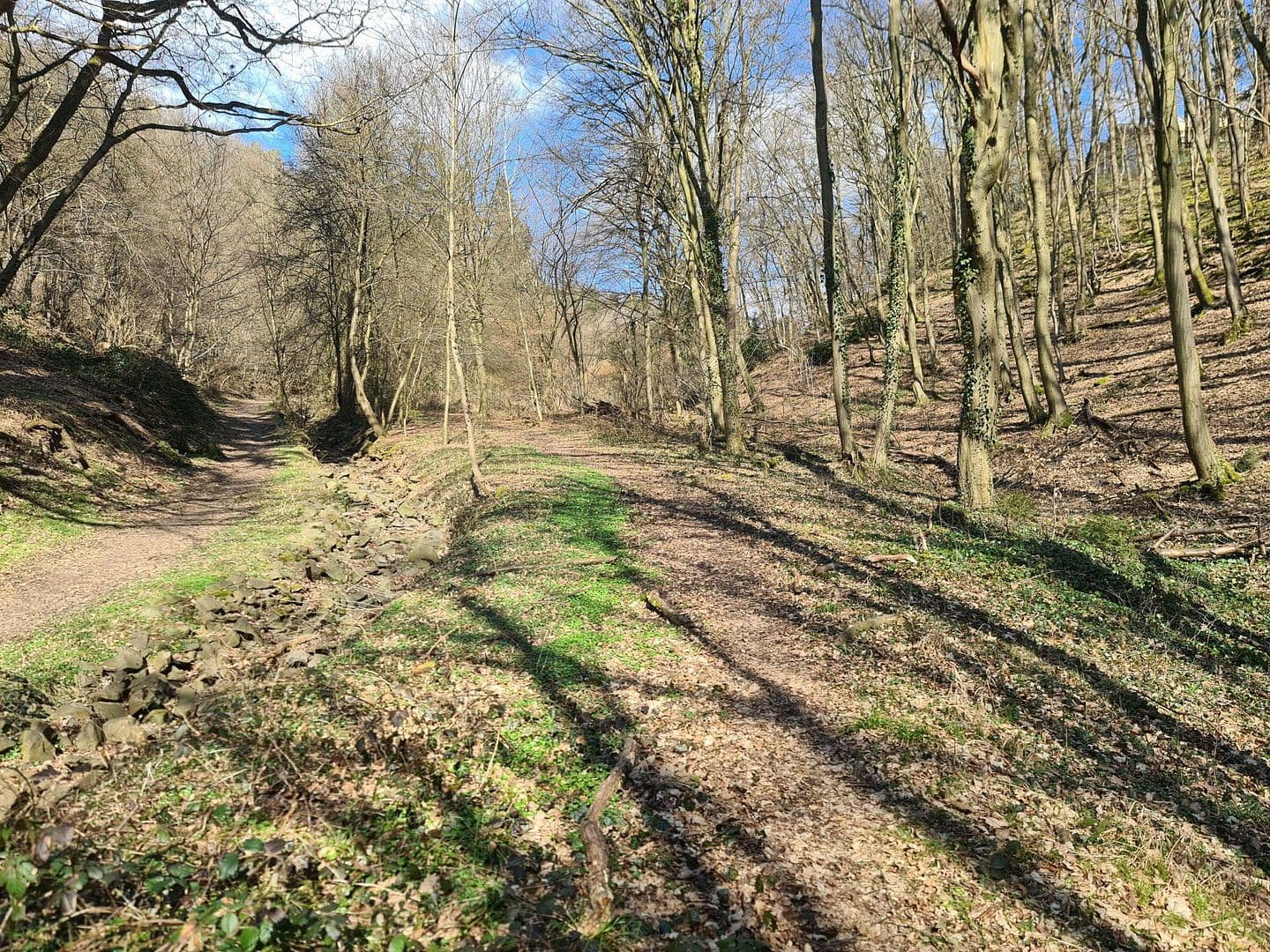 plot for sale, 8,326 m², Wiesengrund, Waldesch, Rhineland-Palatinate plot for sale, 8,326 m², Wiesengrund, Waldesch, Rhineland-Palatinate