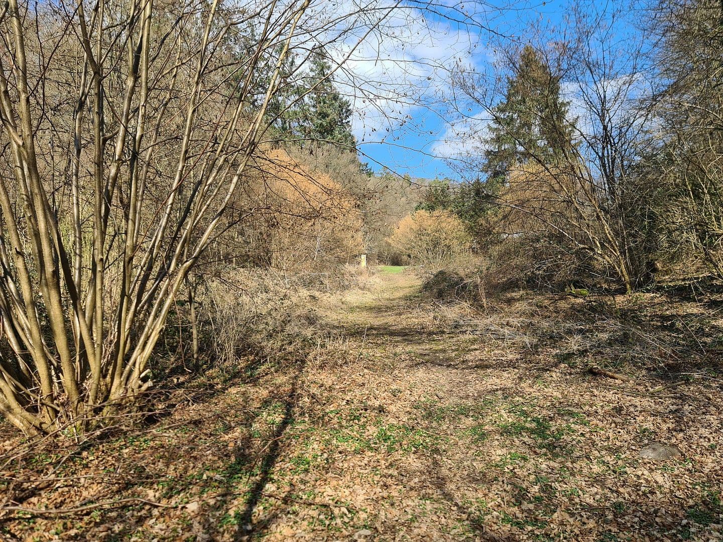 plot for sale, 8,326 m², Wiesengrund, Waldesch, Rhineland-Palatinate plot for sale, 8,326 m², Wiesengrund, Waldesch, Rhineland-Palatinate