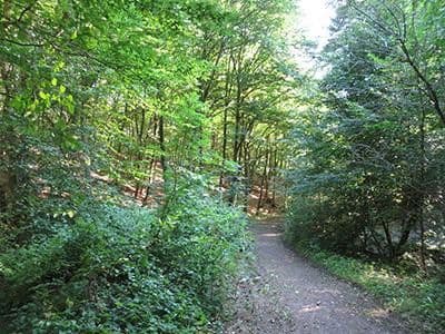 plot for sale, 8,326 m², Wiesengrund, Waldesch, Rhineland-Palatinate plot for sale, 8,326 m², Wiesengrund, Waldesch, Rhineland-Palatinate