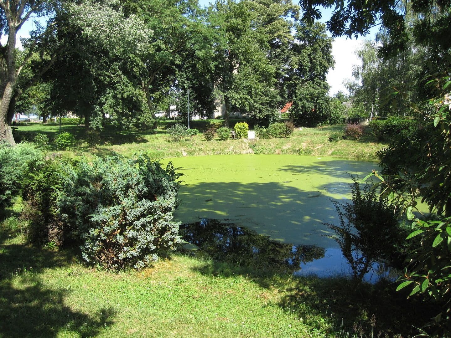 house for sale, 3,600 m², Zettemin, Mecklenburg-Vorpommern house for sale, 3,600 m², Zettemin, Mecklenburg-Vorpommern