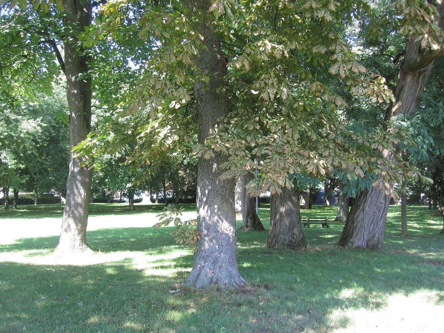 house for sale, 3,600 m², Zettemin, Mecklenburg-Vorpommern house for sale, 3,600 m², Zettemin, Mecklenburg-Vorpommern