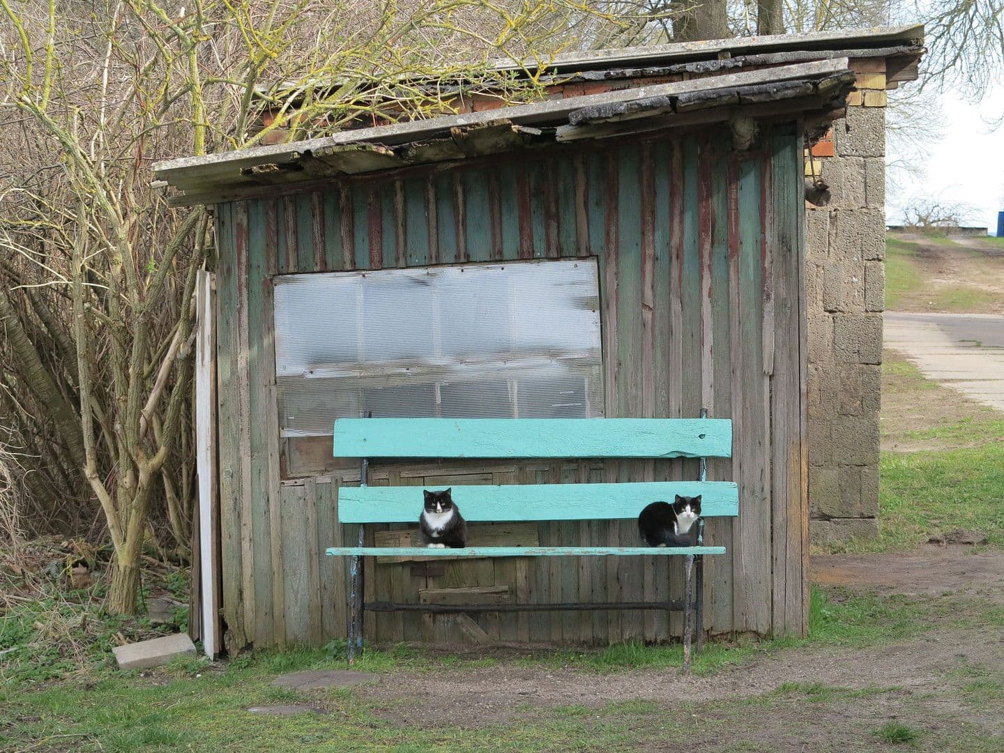 house for sale, 3,600 m², Zettemin, Mecklenburg-Vorpommern house for sale, 3,600 m², Zettemin, Mecklenburg-Vorpommern