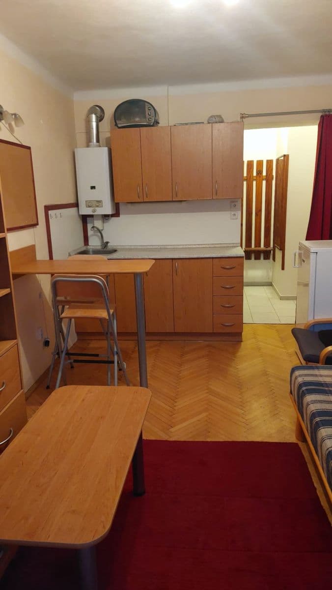 Studio flat to rent, 21 m², Koulova, Prague, Prague Studio flat to rent, 21 m², Koulova, Prague, Prague