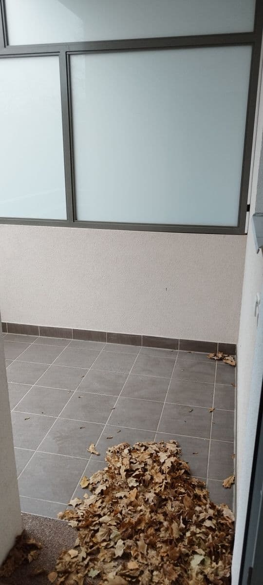 2 bedroom flat to rent, 67 m², Obora, Vlašim, Středočeský Region 2 bedroom flat to rent, 67 m², Obora, Vlašim, Středočeský Region