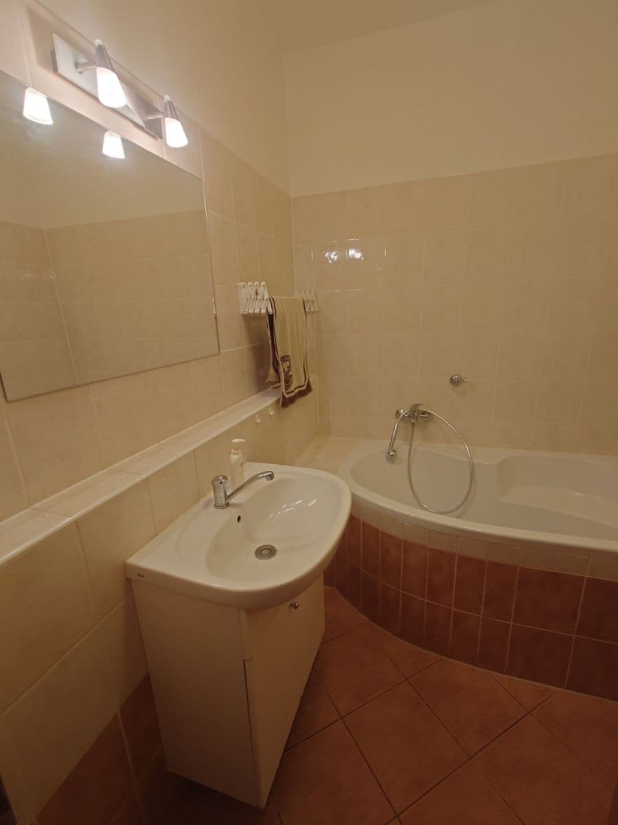 1 bedroom with open-plan kitchen flat to rent, 70 m², Trýbova, Brno, Jihomoravský Region 1 bedroom with open-plan kitchen flat to rent, 70 m², Trýbova, Brno, Jihomoravský Region