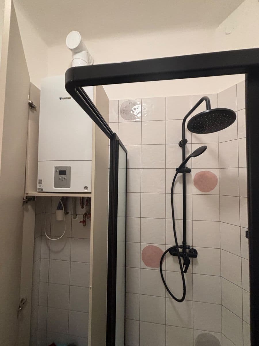 1 bedroom with open-plan kitchen flat to rent, 50 m², Baranova, Prague, Prague 1 bedroom with open-plan kitchen flat to rent, 50 m², Baranova, Prague, Prague