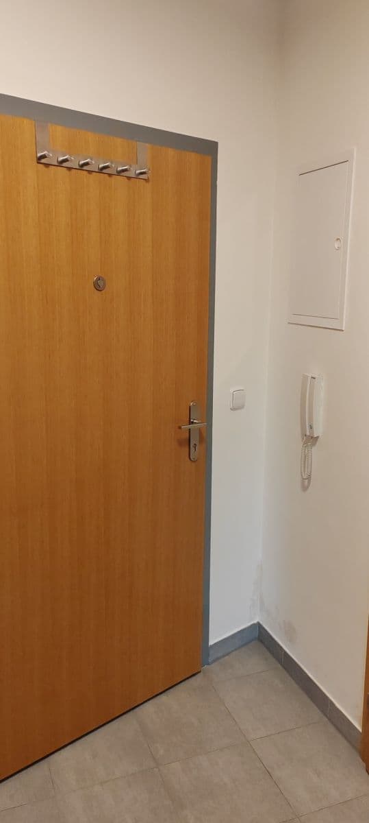 Studio flat to rent, 42 m², Družstevní ochoz, Prague, Prague Studio flat to rent, 42 m², Družstevní ochoz, Prague, Prague