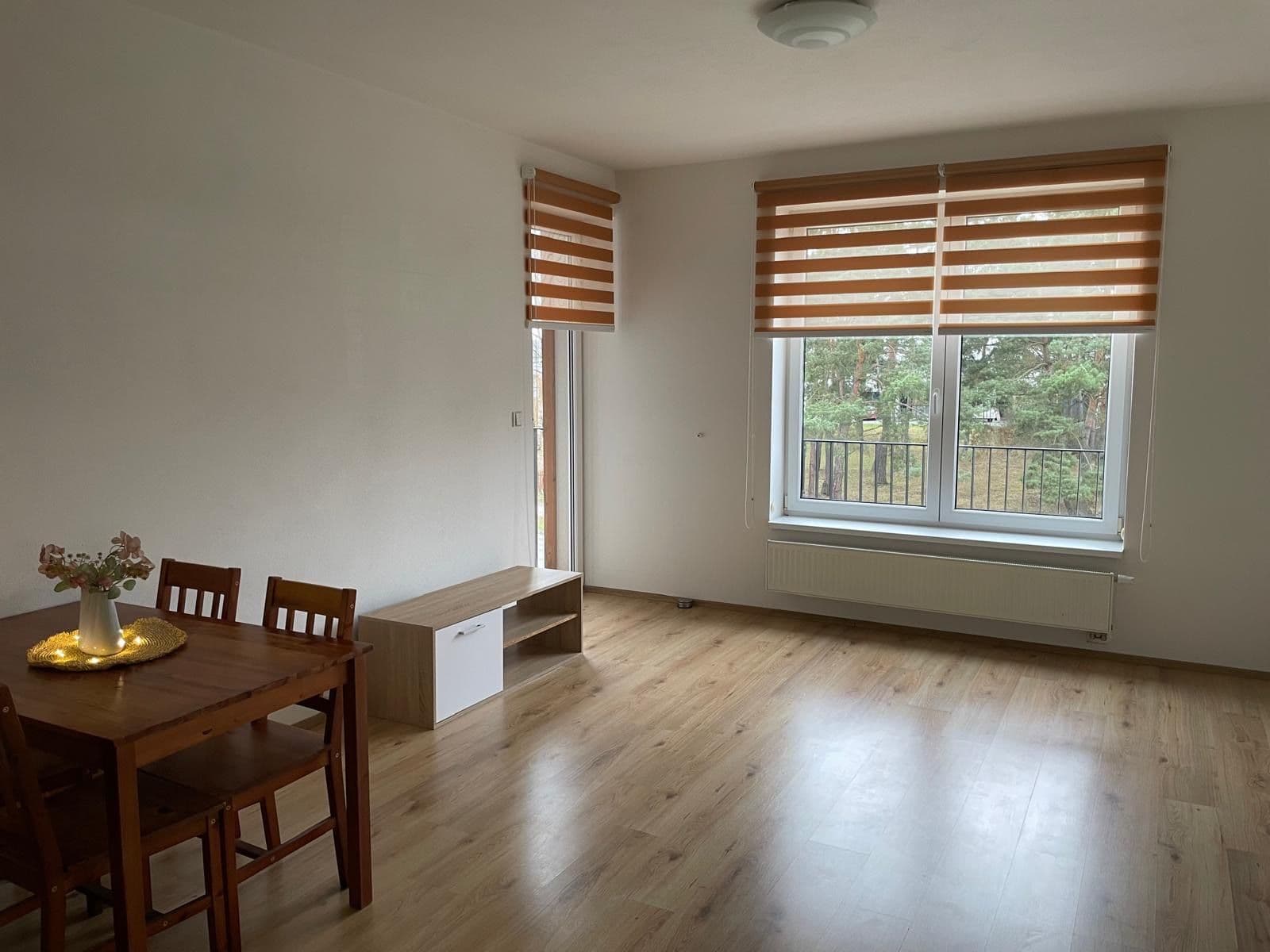 1 bedroom with open-plan kitchen flat for sale, 56 m², Špačková, Plzeň, Plzeňský Region 1 bedroom with open-plan kitchen flat for sale, 56 m², Špačková, Plzeň, Plzeňský Region