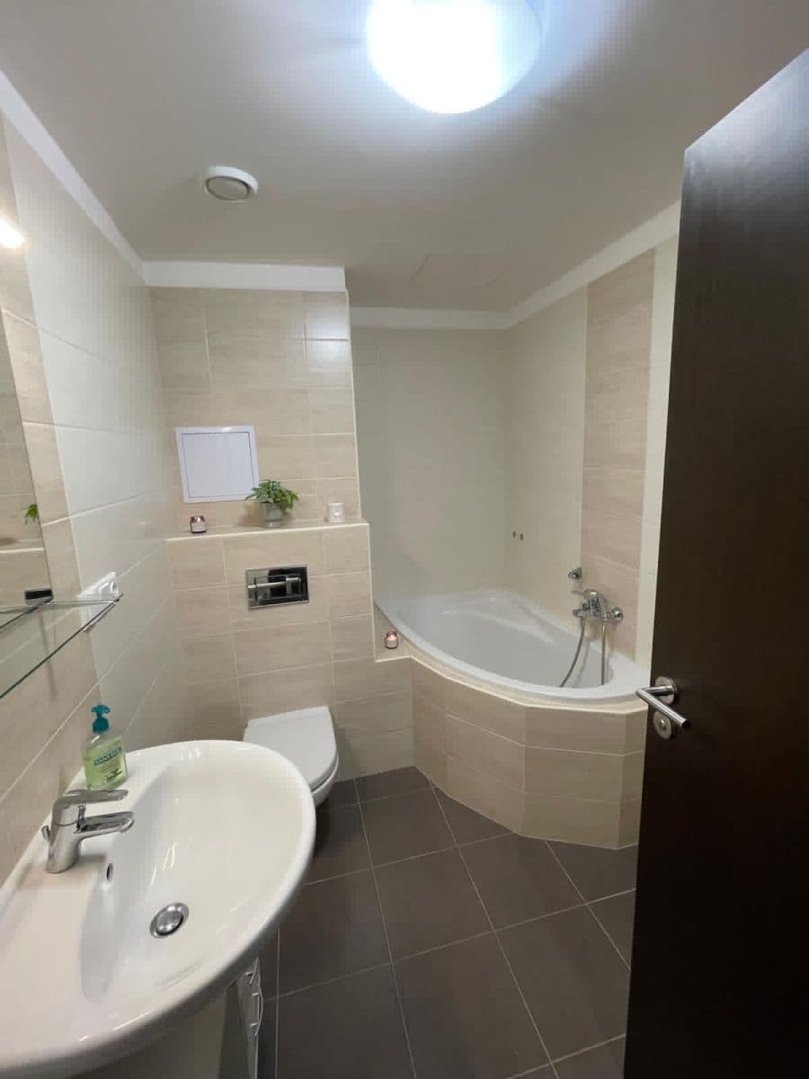 1 bedroom with open-plan kitchen flat for sale, 56 m², Špačková, Plzeň, Plzeňský Region 1 bedroom with open-plan kitchen flat for sale, 56 m², Špačková, Plzeň, Plzeňský Region