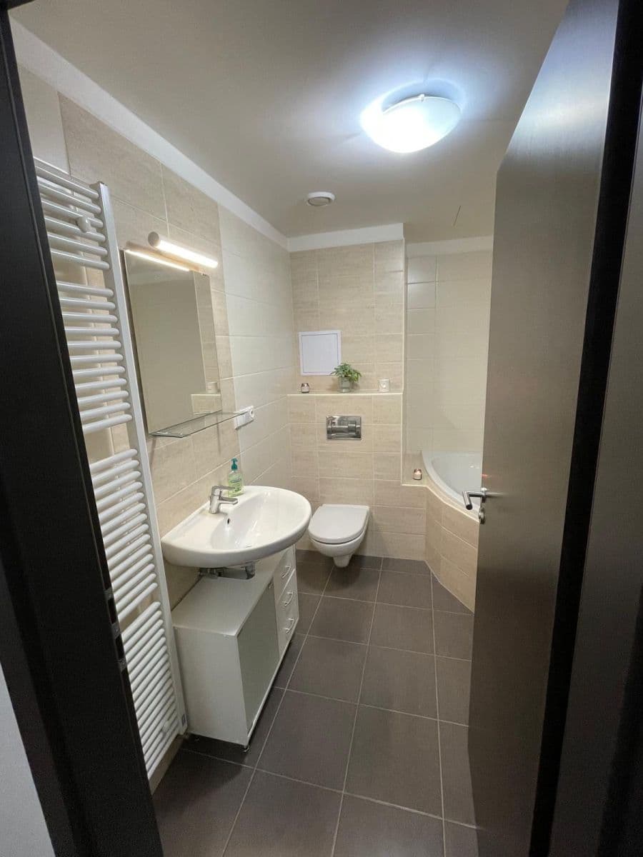 1 bedroom with open-plan kitchen flat for sale, 56 m², Špačková, Plzeň, Plzeňský Region 1 bedroom with open-plan kitchen flat for sale, 56 m², Špačková, Plzeň, Plzeňský Region