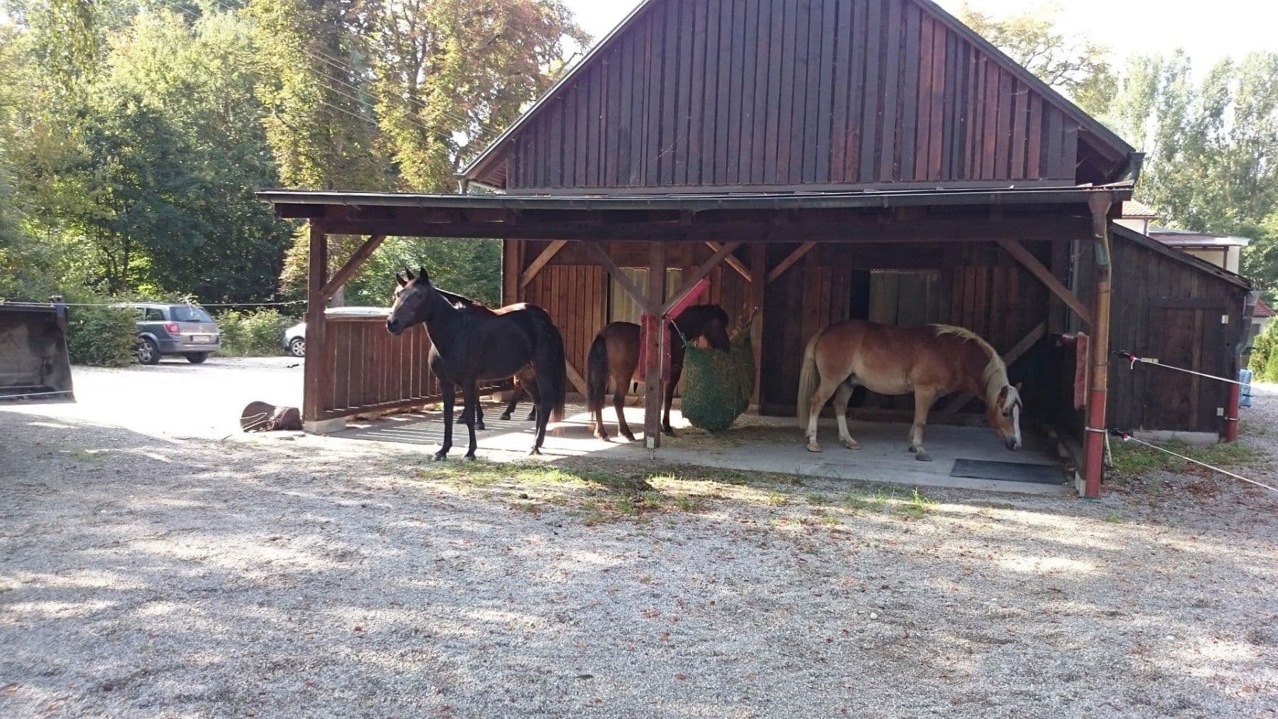 house for sale, 480 m², Egenhofen, Bavaria house for sale, 480 m², Egenhofen, Bavaria