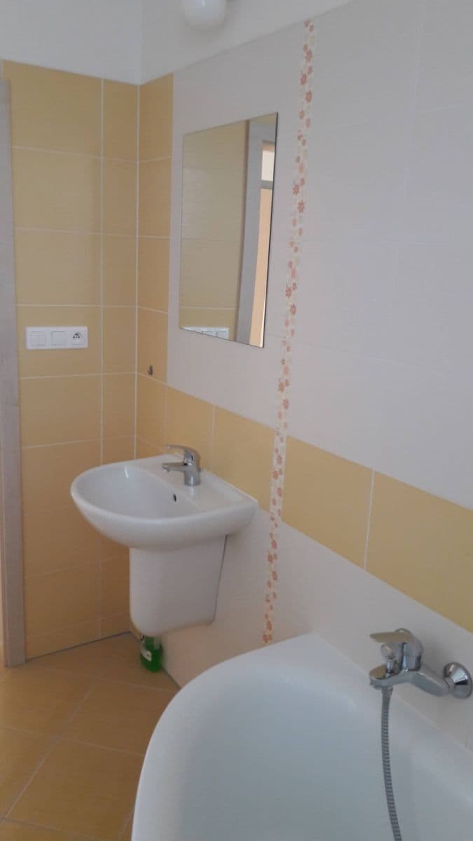 1 bedroom with open-plan kitchen flat to rent, 46 m², U Uhříněveské obory, Prague, Prague 1 bedroom with open-plan kitchen flat to rent, 46 m², U Uhříněveské obory, Prague, Prague