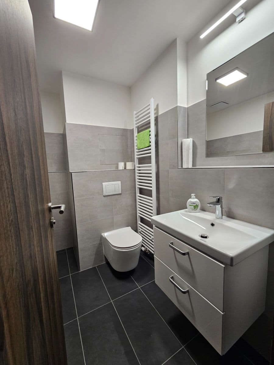 1 bedroom with open-plan kitchen flat to rent, 50 m², Augustina Lukeše, Brandýs nad Labem-Stará Boleslav, Středočeský Region 1 bedroom with open-plan kitchen flat to rent, 50 m², Augustina Lukeše, Brandýs nad Labem-Stará Boleslav, Středočeský Region