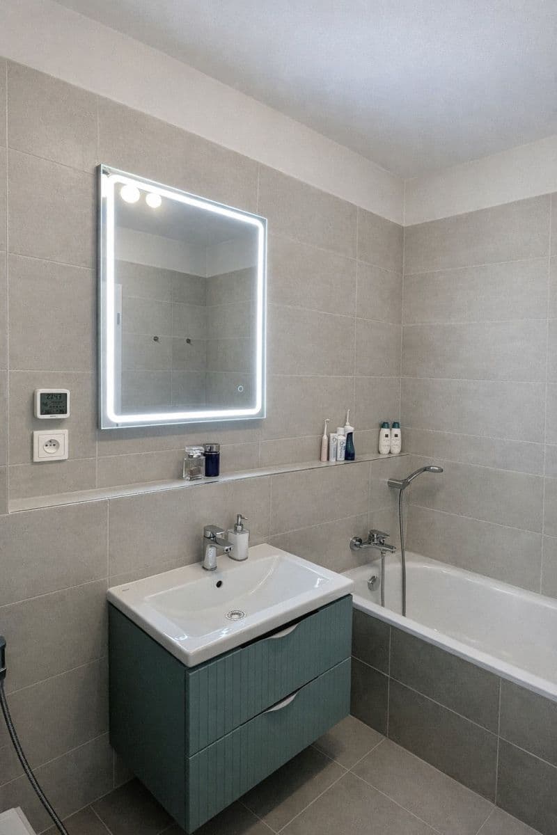 1 bedroom with open-plan kitchen flat for sale, 54 m², Olgy Havlové, Prague, Prague 1 bedroom with open-plan kitchen flat for sale, 54 m², Olgy Havlové, Prague, Prague