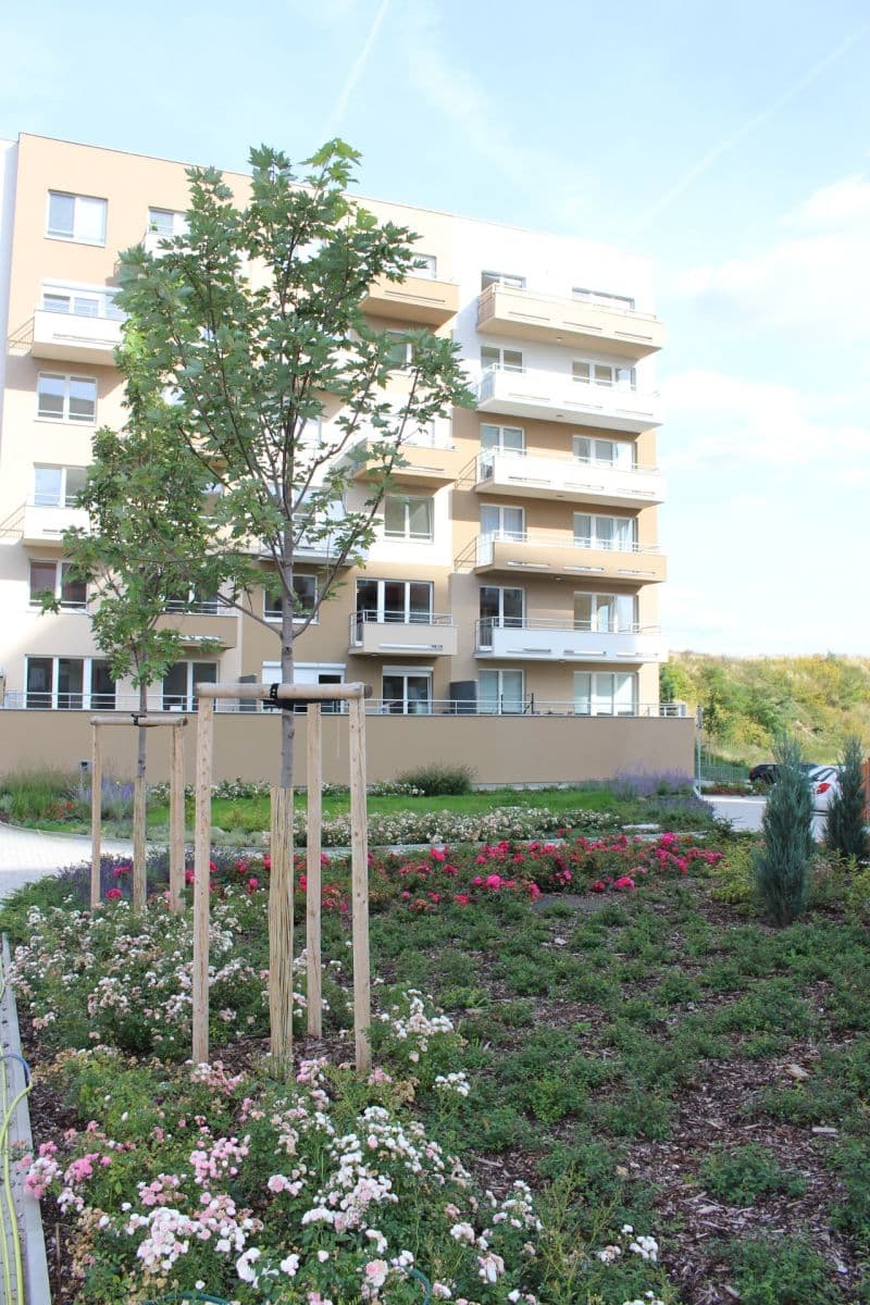 1 bedroom with open-plan kitchen flat to rent, 55 m², Mantovská, Prague, Prague 1 bedroom with open-plan kitchen flat to rent, 55 m², Mantovská, Prague, Prague