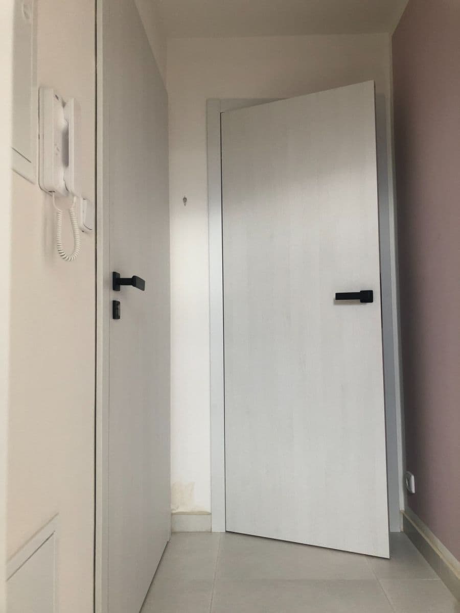 2 bedroom with open-plan kitchen flat to rent, 62 m², Hekova, Prague, Prague 2 bedroom with open-plan kitchen flat to rent, 62 m², Hekova, Prague, Prague