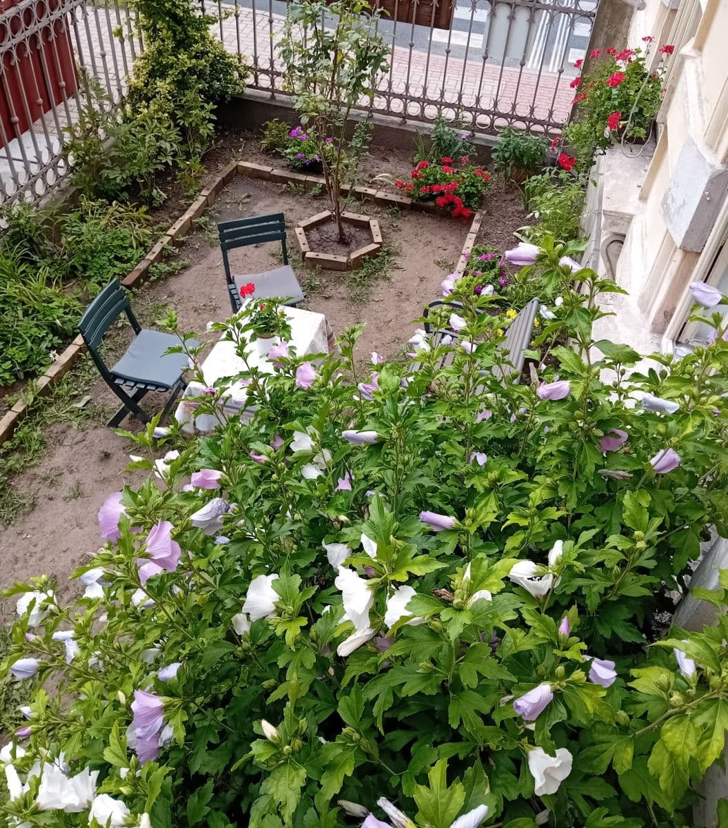 1 bedroom flat to rent, 65 m², Roháče z Dubé, Česká Lípa, Liberecký Region 1 bedroom flat to rent, 65 m², Roháče z Dubé, Česká Lípa, Liberecký Region