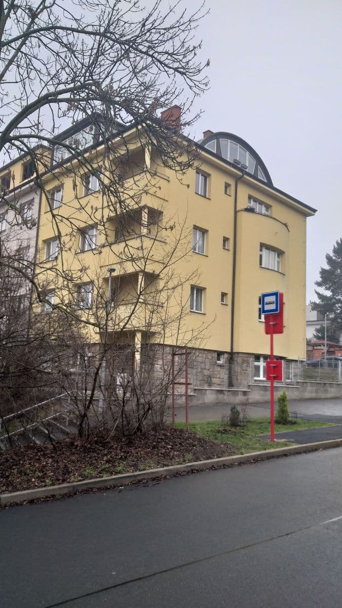 1 bedroom with open-plan kitchen flat to rent, 57 m², Nad Popelkou, Prague, Prague 1 bedroom with open-plan kitchen flat to rent, 57 m², Nad Popelkou, Prague, Prague