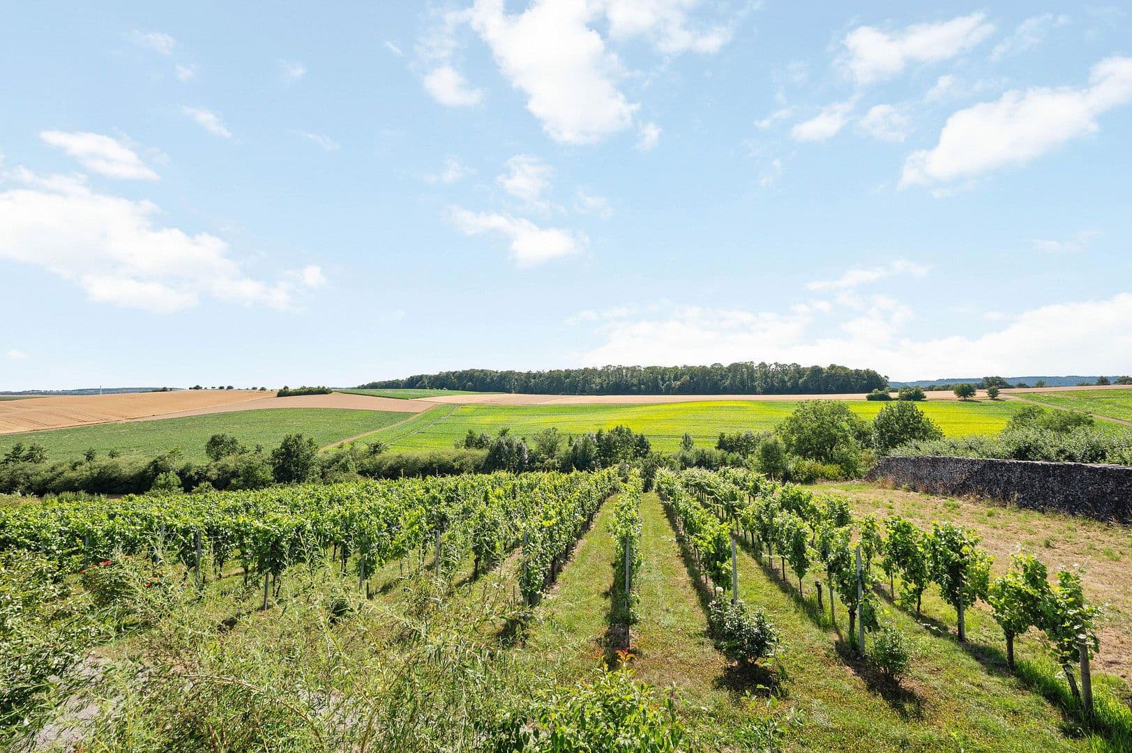 2 bedroom with open-plan kitchen flat to rent, 92 m², Gundelsheim, Baden-Württemberg 2 bedroom with open-plan kitchen flat to rent, 92 m², Gundelsheim, Baden-Württemberg