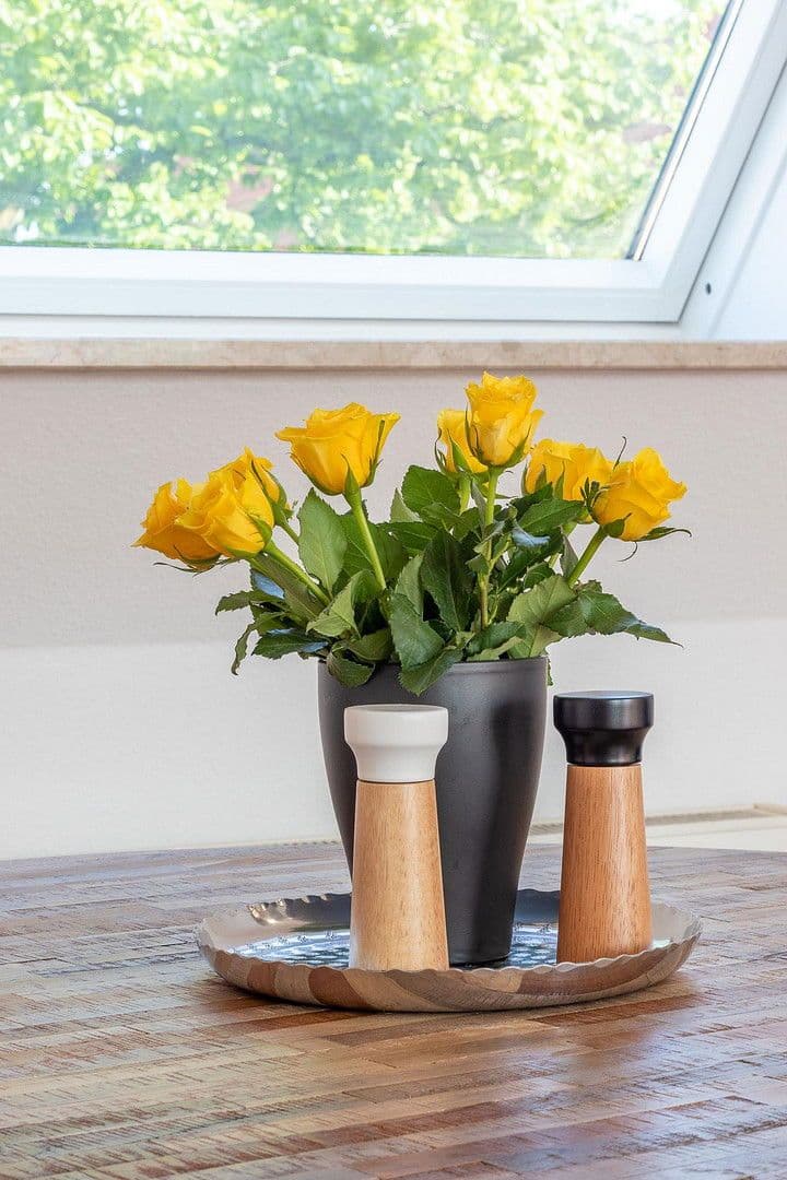 2 bedroom flat to rent, 49 m², Zwickau, Saxony 2 bedroom flat to rent, 49 m², Zwickau, Saxony