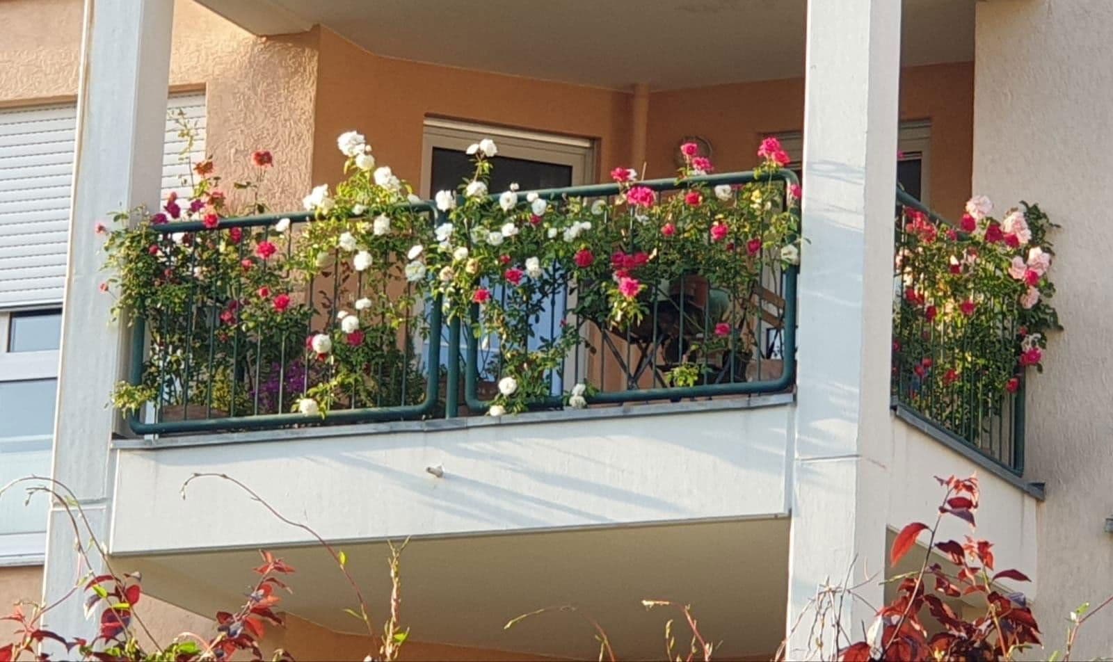 3 bedroom flat for sale, 86 m², Am Carlusbaum, Bad Soden am Taunus, Hesse 3 bedroom flat for sale, 86 m², Am Carlusbaum, Bad Soden am Taunus, Hesse