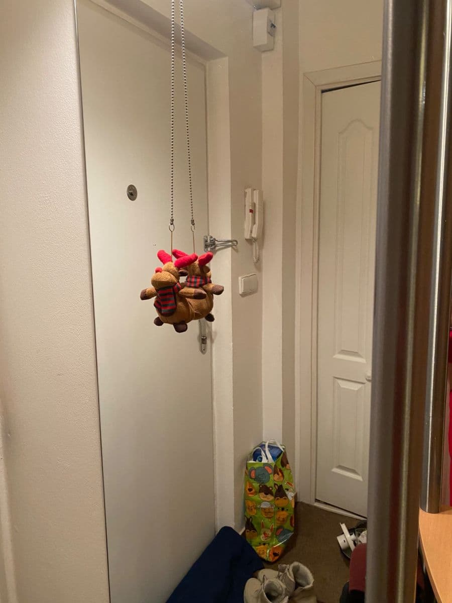 Studio flat to rent, 48 m², Jana Želivského, Prague, Prague Studio flat to rent, 48 m², Jana Želivského, Prague, Prague